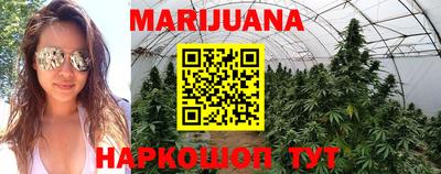 амф Гусев