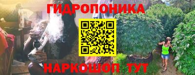 мяу мяу мука Гусиноозёрск