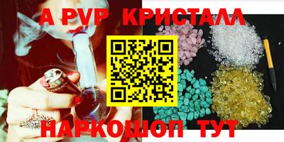 амф Гусев