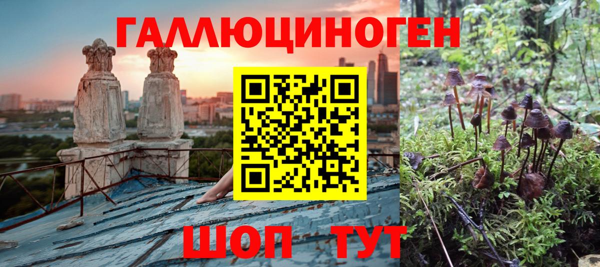 Галлюциногенные грибы Magic Shrooms  Вход с VPN  Нижнекамск 