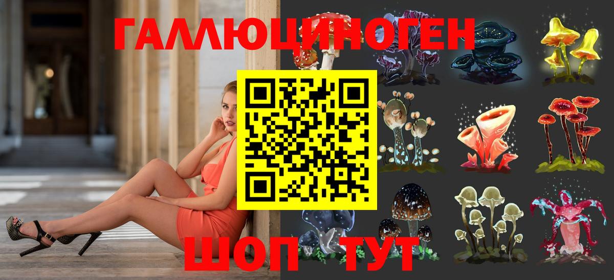 Псилоцибиновые грибы Psilocybe Нижнекамск